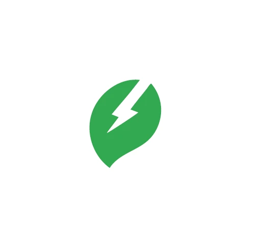 Electric